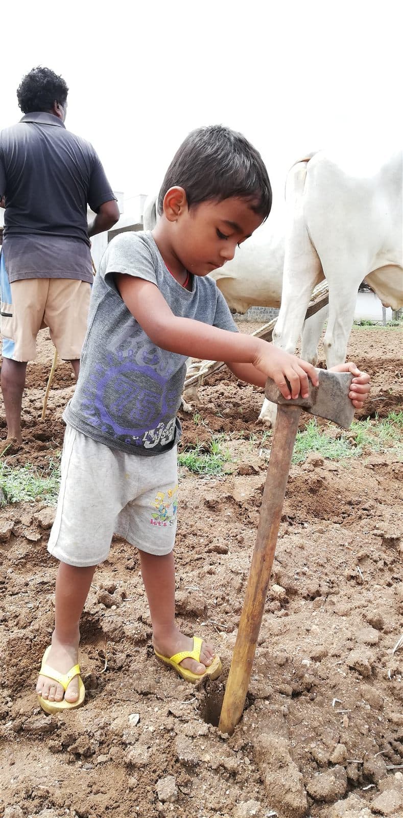 Nihan digging soil with a hoe